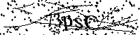 Bitte geben Sie die Buchstaben und Zahlen unten ein