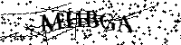 Bitte geben Sie die Buchstaben und Zahlen unten ein
