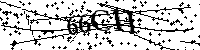 Bitte geben Sie die Buchstaben und Zahlen unten ein