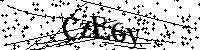 Bitte geben Sie die Buchstaben und Zahlen unten ein