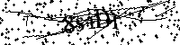 Bitte geben Sie die Buchstaben und Zahlen unten ein