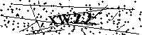 Bitte geben Sie die Buchstaben und Zahlen unten ein