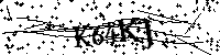 Bitte geben Sie die Buchstaben und Zahlen unten ein