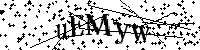 Bitte geben Sie die Buchstaben und Zahlen unten ein