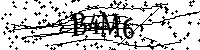 Bitte geben Sie die Buchstaben und Zahlen unten ein