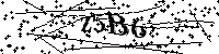 Bitte geben Sie die Buchstaben und Zahlen unten ein