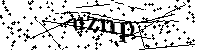 Bitte geben Sie die Buchstaben und Zahlen unten ein