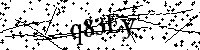 Bitte geben Sie die Buchstaben und Zahlen unten ein