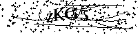 Bitte geben Sie die Buchstaben und Zahlen unten ein