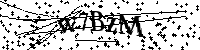 Bitte geben Sie die Buchstaben und Zahlen unten ein