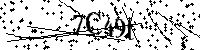 Bitte geben Sie die Buchstaben und Zahlen unten ein
