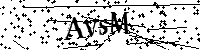 Bitte geben Sie die Buchstaben und Zahlen unten ein