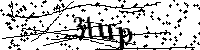 Bitte geben Sie die Buchstaben und Zahlen unten ein