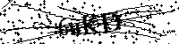 Bitte geben Sie die Buchstaben und Zahlen unten ein