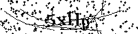 Bitte geben Sie die Buchstaben und Zahlen unten ein