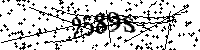 Bitte geben Sie die Buchstaben und Zahlen unten ein