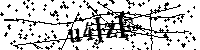 Bitte geben Sie die Buchstaben und Zahlen unten ein