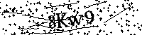 Bitte geben Sie die Buchstaben und Zahlen unten ein