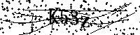 Bitte geben Sie die Buchstaben und Zahlen unten ein
