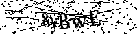 Bitte geben Sie die Buchstaben und Zahlen unten ein