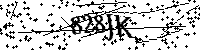 Bitte geben Sie die Buchstaben und Zahlen unten ein