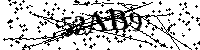 Bitte geben Sie die Buchstaben und Zahlen unten ein