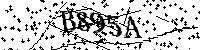 Bitte geben Sie die Buchstaben und Zahlen unten ein
