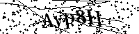 Bitte geben Sie die Buchstaben und Zahlen unten ein