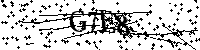 Bitte geben Sie die Buchstaben und Zahlen unten ein